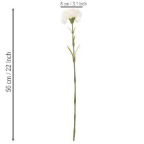 daiktų Dirbtinės gvazdikos su koteliu puokštėms ir vainikams, 56 cm, 8 vnt.