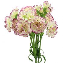 daiktų Gvazdikas Baltas-Purpurinis 64cm 4 vnt