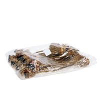 daiktų Nerifolia Bud 25 vnt