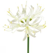 daiktų Nerine Guernsey lelijos dirbtinė gėlė balta geltona Ø15cm L65cm