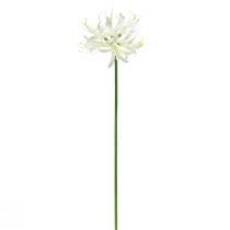 daiktų Nerine Guernsey lelijos dirbtinė gėlė balta geltona Ø15cm L65cm