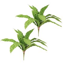 daiktų Lizdas paparčio dirbtiniai augalai žalios spalvos 5,5×22cm 2vnt