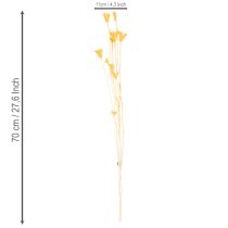 daiktų Džiovintų juodgrūdžių (Nigella) gėlių kompozicija ilgalaikiam naudojimui. Elegantiška ir akį traukianti kompozicija. 70 cm 50 g