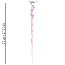 daiktų Džiovintų juodgrūdžių puokštė, dekoratyvinė, naudojama svetainėje, sukuria unikalią atmosferą, 70 cm, 50 g