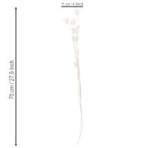 daiktų Džiovintos juodgrūdžių puokštės, elegantiška natūrali puošmena išskirtiniam interjerui, 70 cm, 50 g