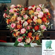 daiktų OASIS® Bioline® Deco ir titano širdelė 45cm