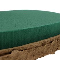 daiktų OASIS® Biolit® širdelė didelė 34cm 2 vnt