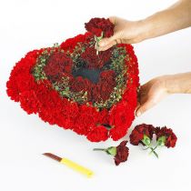 daiktų OASIS® Biolit® širdelė maža 25cm 4 vnt