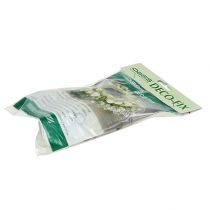 daiktų OASIS® Deco-Fix 10 vnt