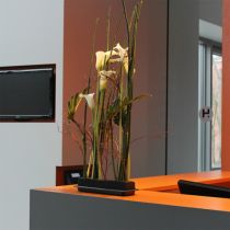 OASIS® Black Table Deco Medi Floral Foam 4vnt