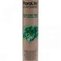 daiktų Oasis Floralife Leaf Shine Leaf Shine Spray 750ml
