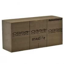 daiktų Oasis NatureSource Maxlife Floral Foam Brick Brown 23×11×7,5cm 1 vnt.