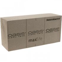 OASIS® BIOLIT® NatureSource plytų gėlių putos 23cm×11cm×7cm 10 vnt.