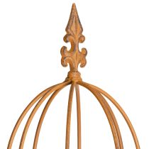 daiktų Sodo grotelės, laipiojimo priemonė rožėms ir kitiems vijokliniams augalams, idealus sodo dizainas, 108 cm, 2 vnt. rinkinys.