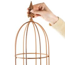 daiktų Sodo grotelės, laipiojimo priemonė rožėms ir kitiems vijokliniams augalams, idealus sodo dizainas, 108 cm, 2 vnt. rinkinys.