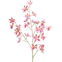 daiktų Oncidium Dirbtinių Orchidėjų Dekoracija Rožinė Violetinė 93cm 2vnt