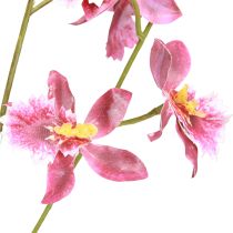 daiktų Oncidium Dirbtinių Orchidėjų Dekoracija Rožinė Violetinė 93cm 2vnt