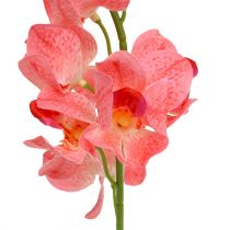 daiktų Orchidėja Mokara Lašiša 50cm 6 vnt