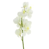 daiktų Dirbtinis orchidėjų kremas 50cm 6vnt