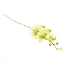 daiktų Orchidėja Dirbtinė geltona žalia Phalaenopsis 85cm