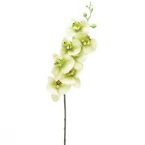 daiktų Orchidėja Dirbtinė geltona žalia Phalaenopsis L83cm