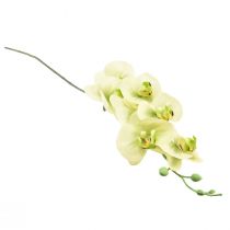 daiktų Orchidėja Dirbtinė geltona žalia Phalaenopsis L83cm