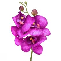 Orchidėja Dirbtinis Phalaenopsis 4 gėlės Fuksijos 72cm