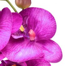 daiktų Orchidėja Dirbtinis Phalaenopsis 4 gėlės Fuksijos 72cm