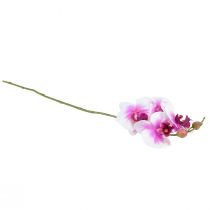 daiktų Orchidėja Dirbtinė Phalaenopsis 4 Gėlės Balta Rožinė 72cm