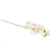 daiktų Orchid Phalaenopsis dirbtinės 6 žiedų kreminės rožinės spalvos 70cm