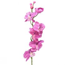 daiktų Orchidėja Phalaenopsis dirbtinė 6 žiedai violetiniai 70cm