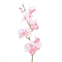 Orchid Phalaenopsis dirbtinės 6 gėlės rožinės spalvos 70cm