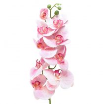 Orchid Phalaenopsis dirbtinės 9 gėlės rožinės baltos 96cm