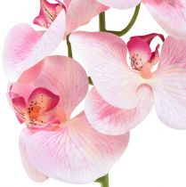 daiktų Orchid Phalaenopsis dirbtinės 9 gėlės rožinės baltos 96cm