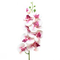 daiktų Orchid Phalaenopsis dirbtinės 9 gėlės baltos fuksijos 96cm