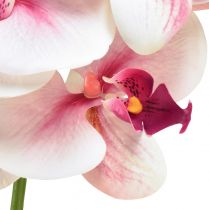 daiktų Orchid Phalaenopsis dirbtinės 9 gėlės baltos fuksijos 96cm