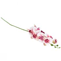 daiktų Orchid Phalaenopsis dirbtinės 9 gėlės baltos fuksijos 96cm