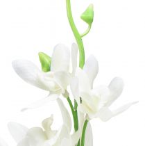 daiktų Orchidėjos dirbtinės Oncidium dirbtinės gėlės baltos 90cm