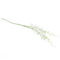 daiktų Orchidėjos dirbtinės Oncidium dirbtinės gėlės baltos 90cm