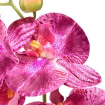 daiktų Orchidėja liepsna dirbtinė Phalaenopsis violetinė 72cm