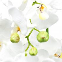 daiktų Dirbtinės orchidėjos vazonui baltos 80cm
