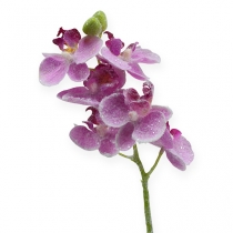 Orchidėja su blizgučiais, rožinė 35cm