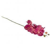 daiktų Dirbtinė orchidėja Phalaenopsis Orchid Fuchsia 78cm