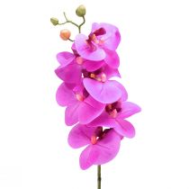 daiktų Dirbtinė orchidėja Phalaenopsis Orchid Pink 78cm