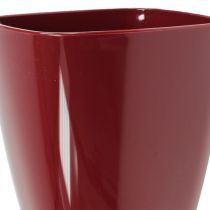 daiktų Orchidėjų vazonas blizgus Ø12,5cm Bordo 1 vnt