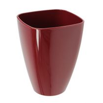 daiktų Orchidėjų vazonas blizgus Ø12,5cm Bordo 1 vnt