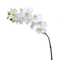 daiktų Orchidėjos šakelė balta L58cm