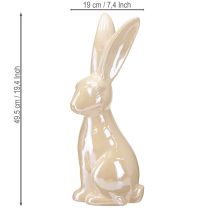 daiktų Velykų zuikis keramikinis smėlio spalvos Keraminis zuikis didelis, aukštis 49,5 cm