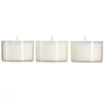 daiktų PURE Nature Lights Tealights Rapsų vaškas Ø38mm 40 vnt