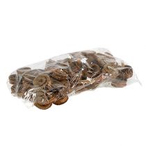 daiktų Palm Male Nature 25 vnt